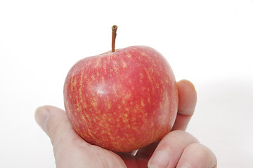 Image showing apples on white