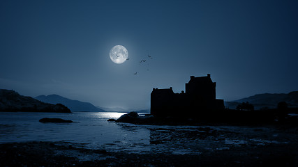 Image showing Eilean Donan Castle by night