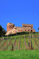 Image showing Castle in Alsace