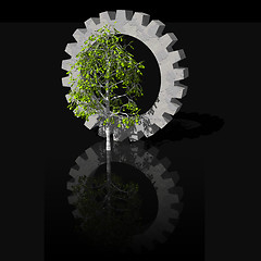 Image showing birch and gearwheel