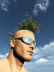 Image showing grass mohawk