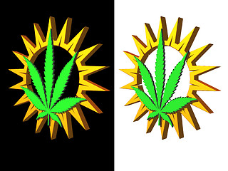 Image showing hemp