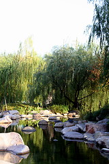 Image showing Chinese garden 1