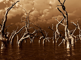 Image showing dead trees