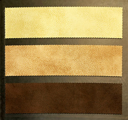 Image showing Beige leathers