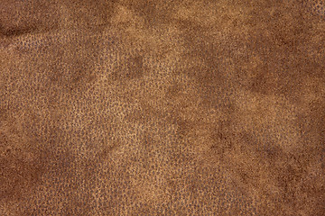 Image showing Brown leather