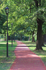 Image showing Alley in the park