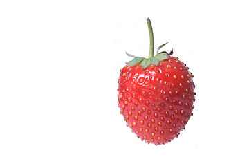 Image showing Strawberry isolated 