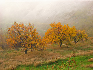 Image showing autumn landscape