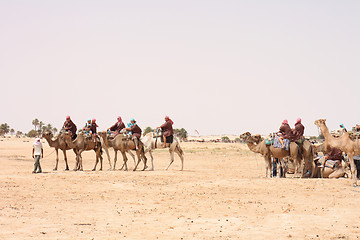 Image showing camels