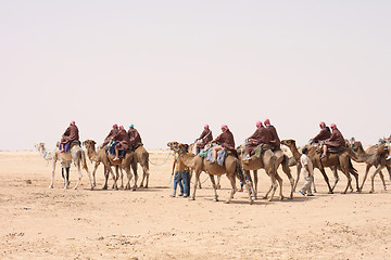 Image showing camels