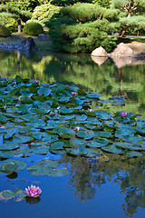 Image showing Japanese garden