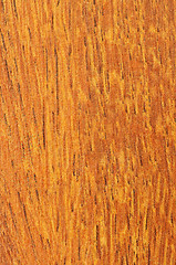 Image showing Pre-finished hardwood floor sample
