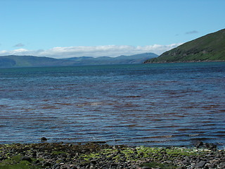 Image showing the bay