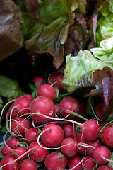 Image showing Red radish