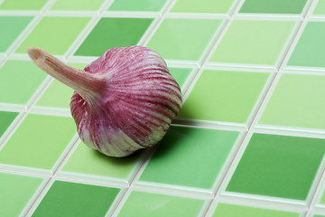 Image showing Head of the garlic