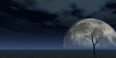 Image showing luna