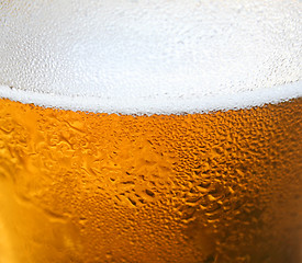Image showing Beer Background