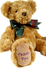 Image showing Thank You Teddy 2