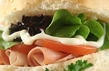 Image showing Ham And Salad Roll 6