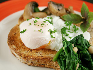 Image showing Poached Egg Breakfast 2