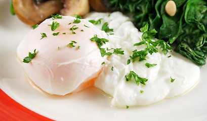 Image showing Poached Egg Breakfast