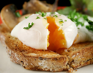 Image showing Sliced Poached Egg