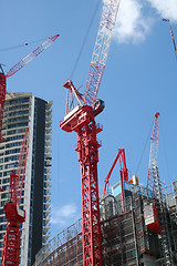 Image showing Cranes On A Construction Site