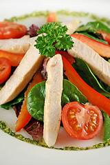 Image showing Chicken Salad Pesto 2