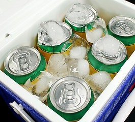 Image showing Drinks Cooler