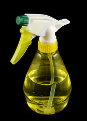 Image showing Spray Bottle 1 