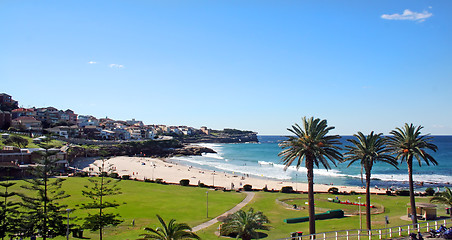 Image showing Bronte Beach Sydney