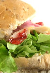 Image showing Turkey And Cranberry Sauce Roll