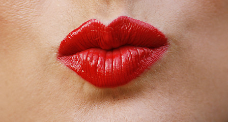 Image showing Lips