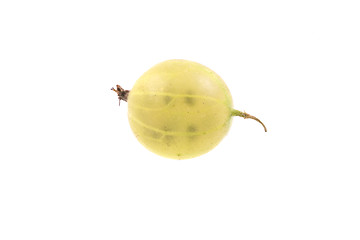 Image showing  fruit