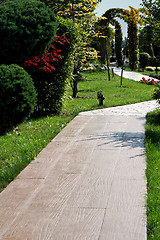 Image showing Garden alley