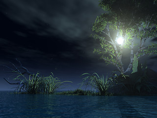 Image showing at night