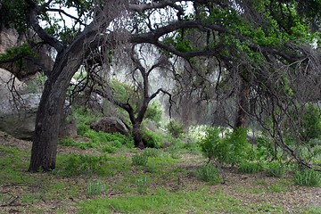 Image showing Santa Susana Mountains (6368)