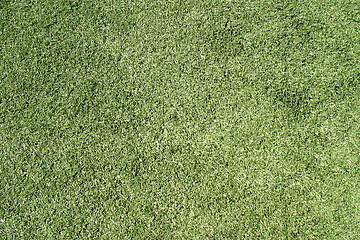 Image showing Green Lawn (6478)