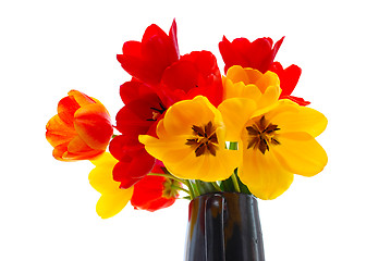 Image showing fresh tulips