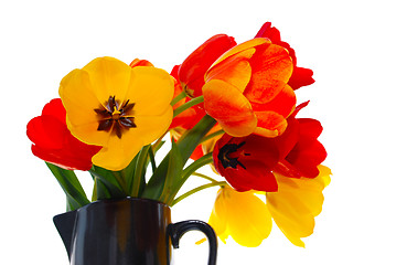 Image showing fresh tulips