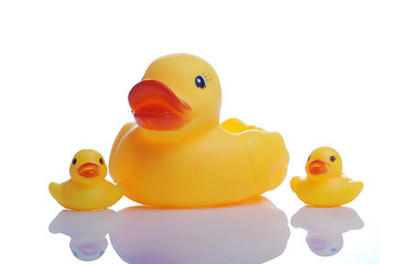 Image showing rubber duck family