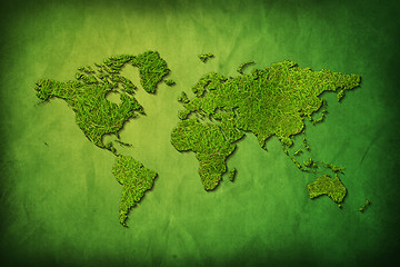 Image showing Global map with grass texture