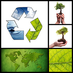 Image showing Environmental collage