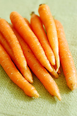 Image showing fresh carrots