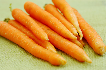 Image showing fresh carrots