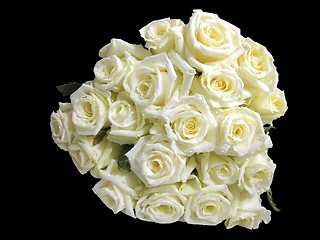 Image showing white roses