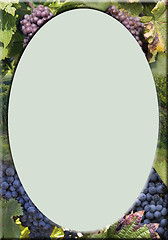 Image showing vineyard frame with green oval