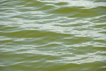Image showing Green water surface
