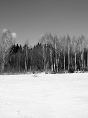 Image showing Forest and field in winter